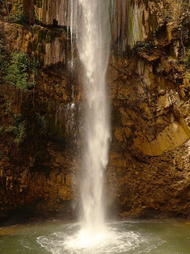 Tiger Fall