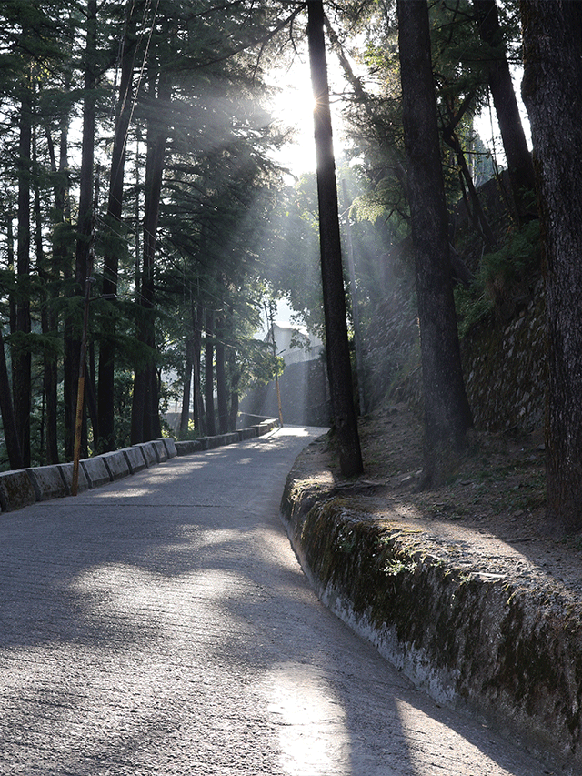 dehradun