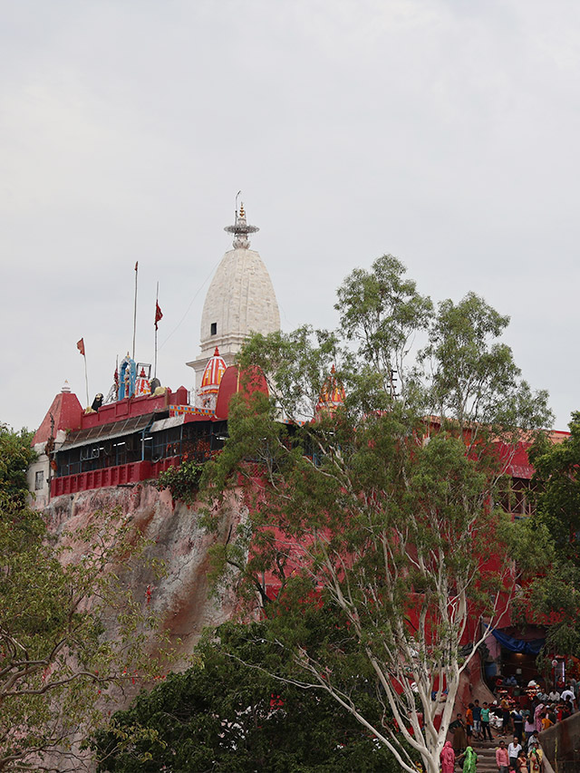 Mansa Devi 