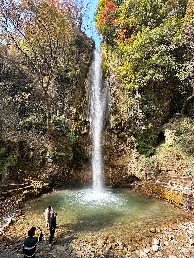 Tiger Fall