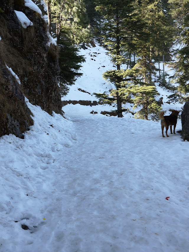 Lokhandi Snow Point 