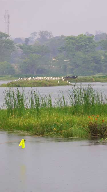 Asan Barrage Dehradun