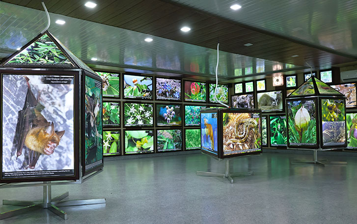 Biodiversity Gallery 