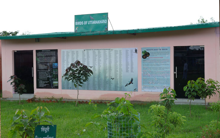 Bird Gallery Of Uttarakhand 