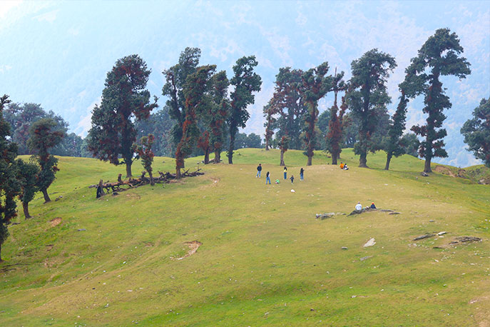 Chopta-Bugyal