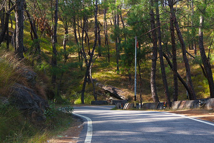 Ranikhet-Almora