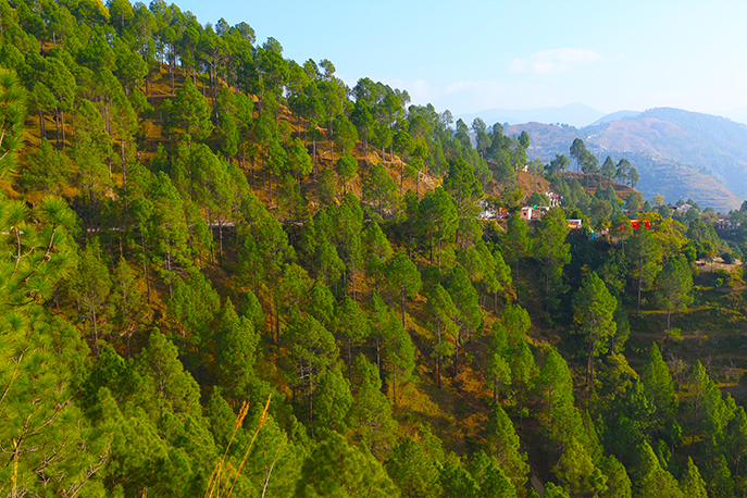 Ranikhet