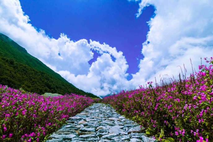 Valley of Flowers Trek by Alpiene Thrills