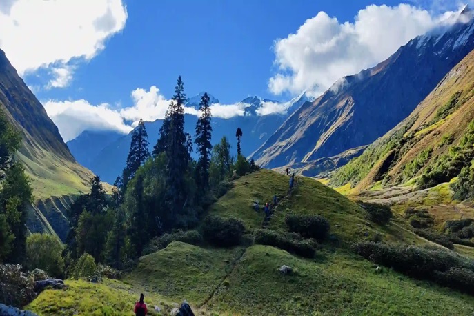 Himalaya Shelter Bali Pass Trekking