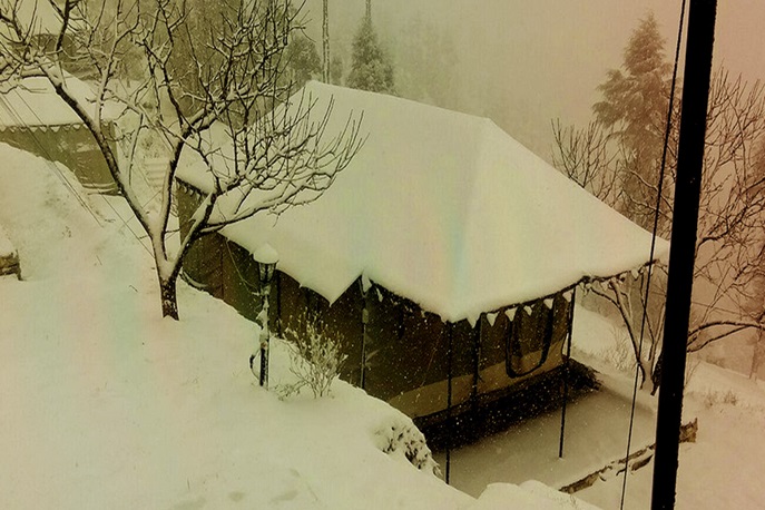 Kanatal Camping by Himalayan Moments