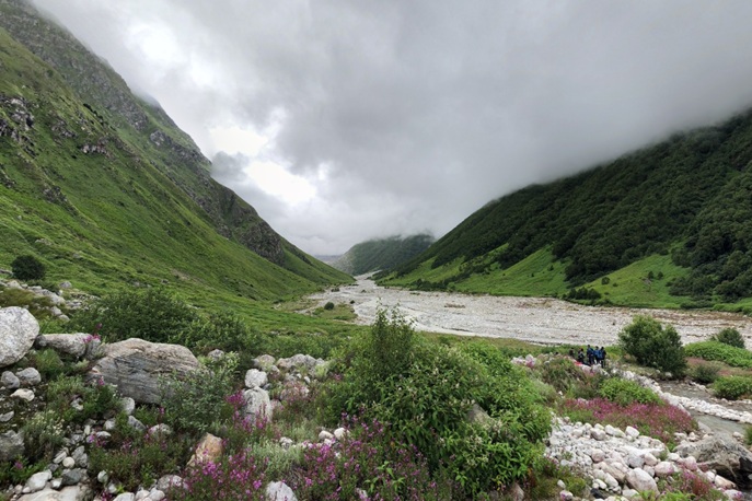 Image of Valley of Flower