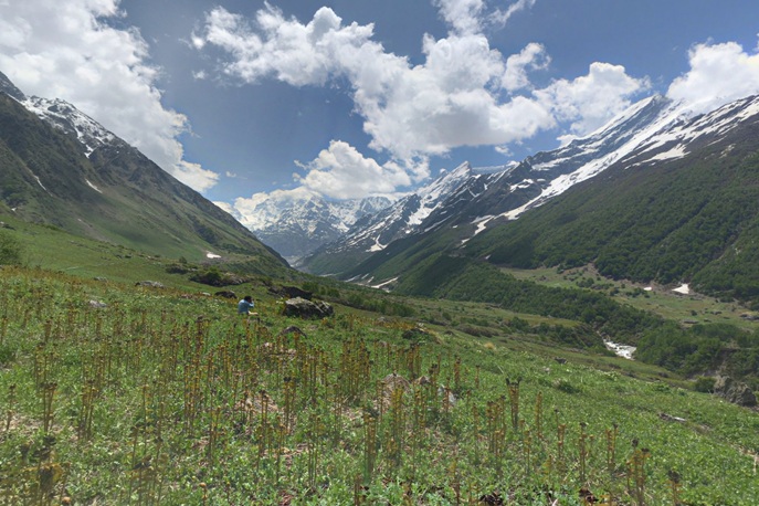 Valley of Flowers Trek photos