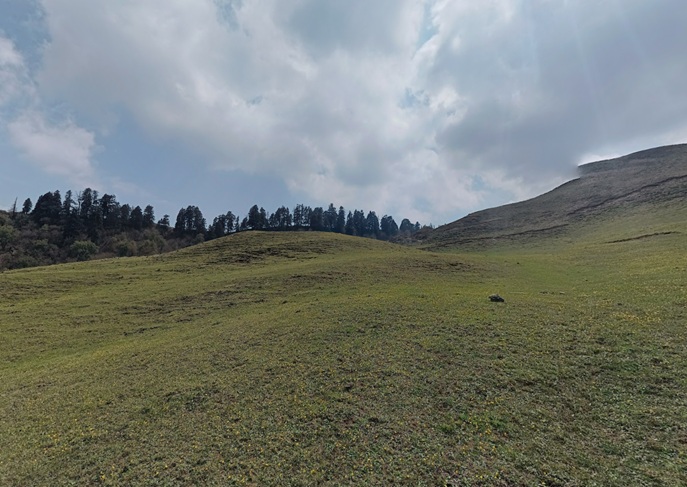Dayara Bugyal Meadows
